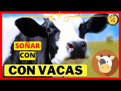 qué significa soñar con una vaca