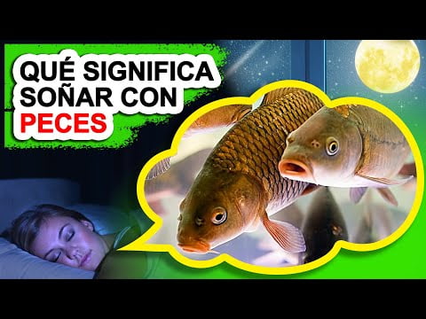 Descubre el significado de soñar con peces