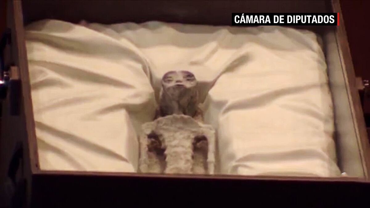 Jaime Maussan presenta evidencia de vida extraterrestre en la Cámara de Diputados de México